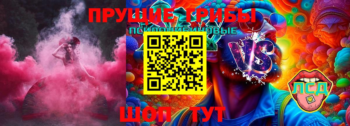 Галлюциногенные грибы Psilocybe Кудымкар