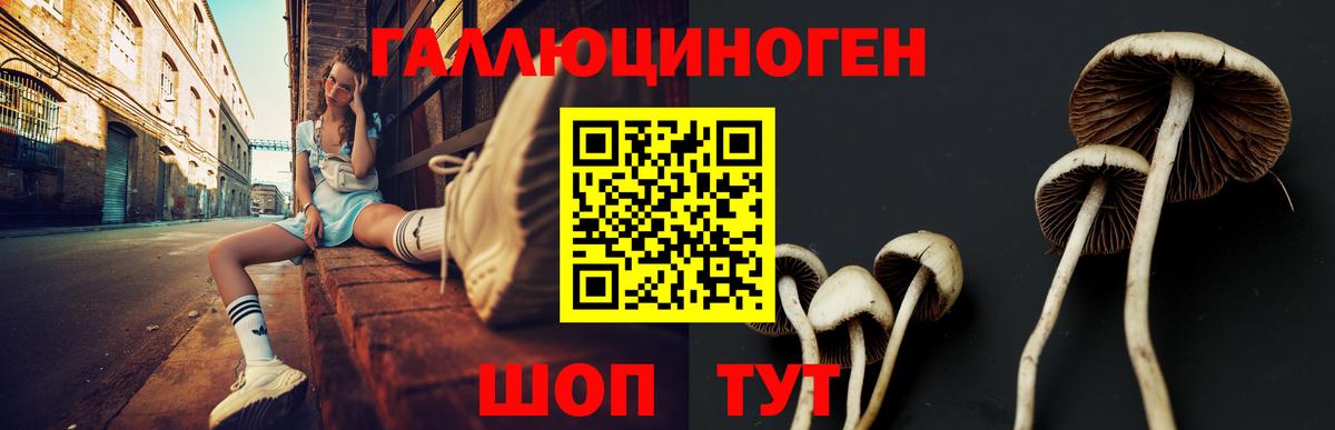 Галлюциногенные грибы мухоморы  Вход с VPN  Кудымкар  Псилоцибиновые грибы GOLDEN TEACHER 